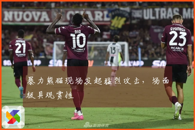 暴力熊猫现场发起猛烈攻击，场面极具观赏性