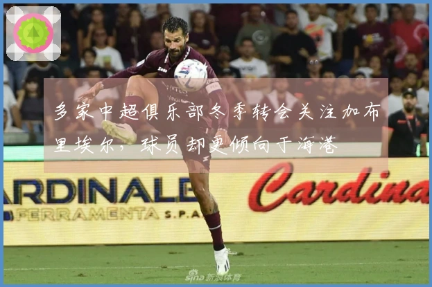 多家中超俱乐部冬季转会关注加布里埃尔，球员却更倾向于海港